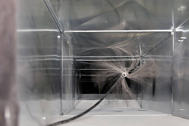 Best Air Duct Mold Removal  in Gardner, MA
